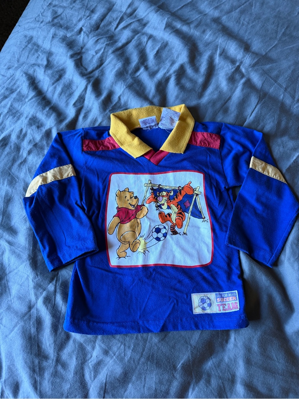 Vintage Winnie the Pooh & Tigger Blue Soccer Pullover Color Block Top